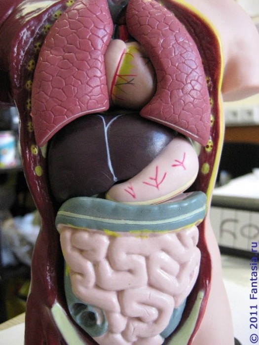 Мастурбатор-стоппер Lola Games Homme Genial Henchman, белый 7012-02lola - Lola Toys - Не анатомические мастурбаторы - Купить